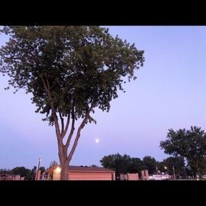 Meet your Posher, Jing